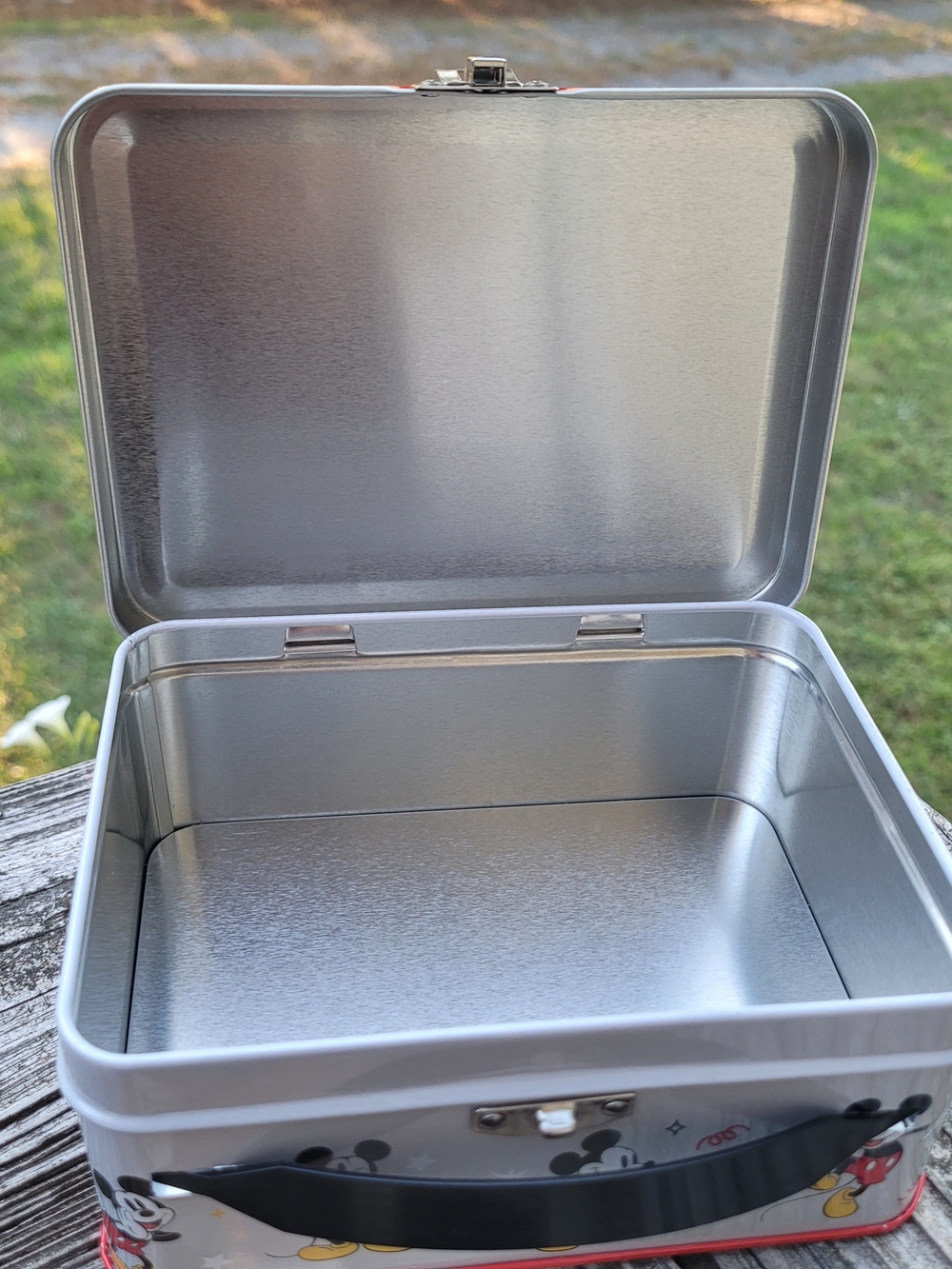 Metal Lunchbox Pick One - Picture 13 of 13